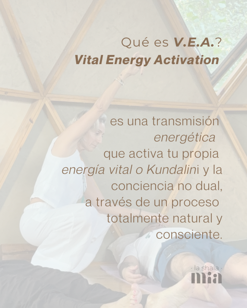 que es VEA, vital energy activation
